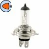 Verre Ampoule 12V 35/35W PX43T -Aubaines sur les pièces de vélo ampoule 12v 35 35w px43t