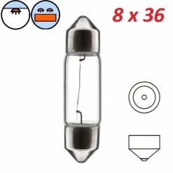 Verre Ampoule Navette 6V 3W SV7 8x36 Mm